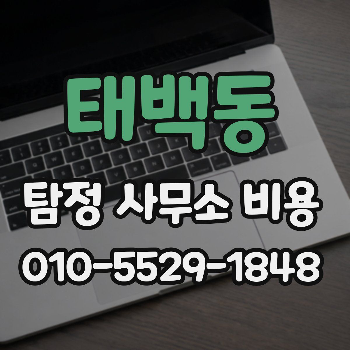 태백동 탐정 사무소 비용