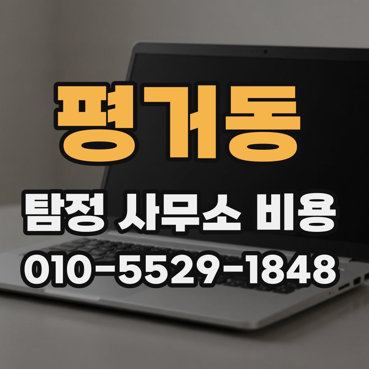 평거동 탐정 사무소 비용