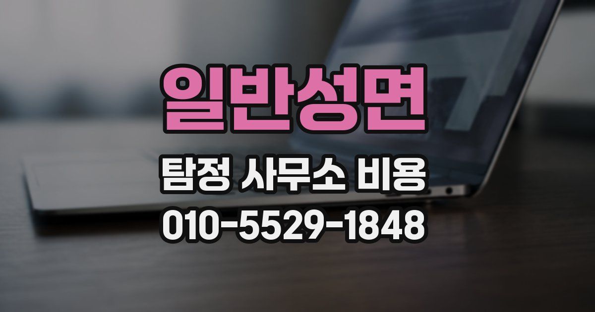 일반성면 탐정 사무소 비용