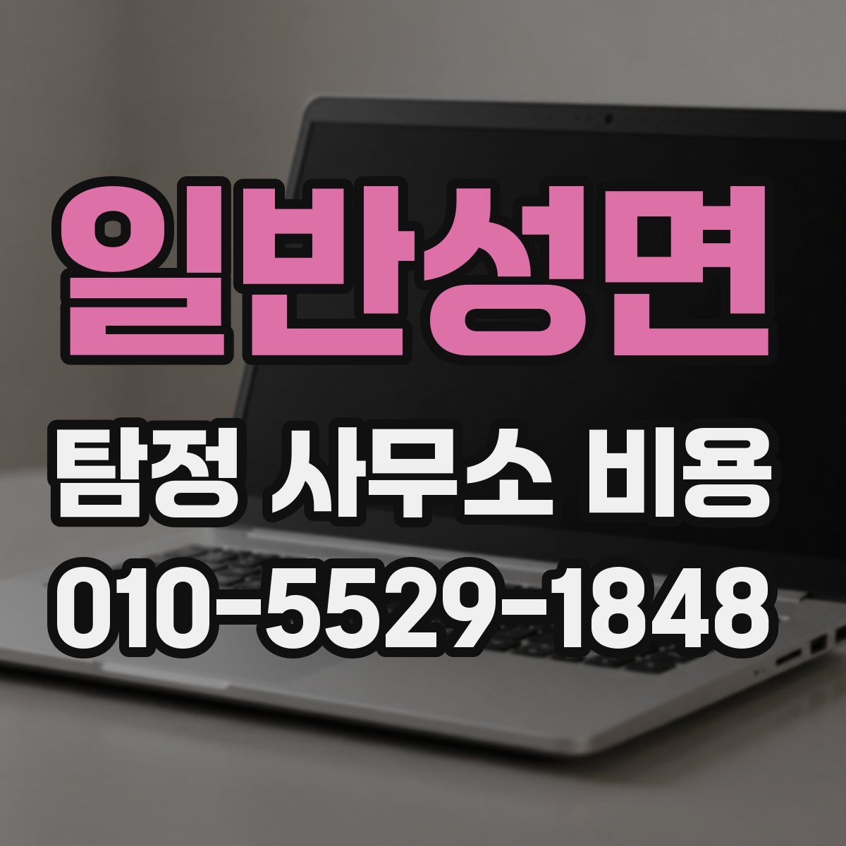 일반성면 탐정 사무소 비용