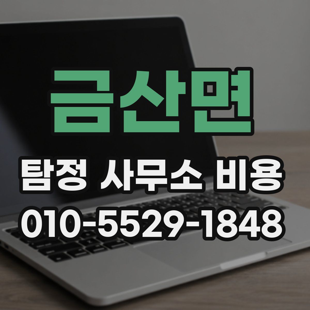 금산면 탐정 사무소 비용