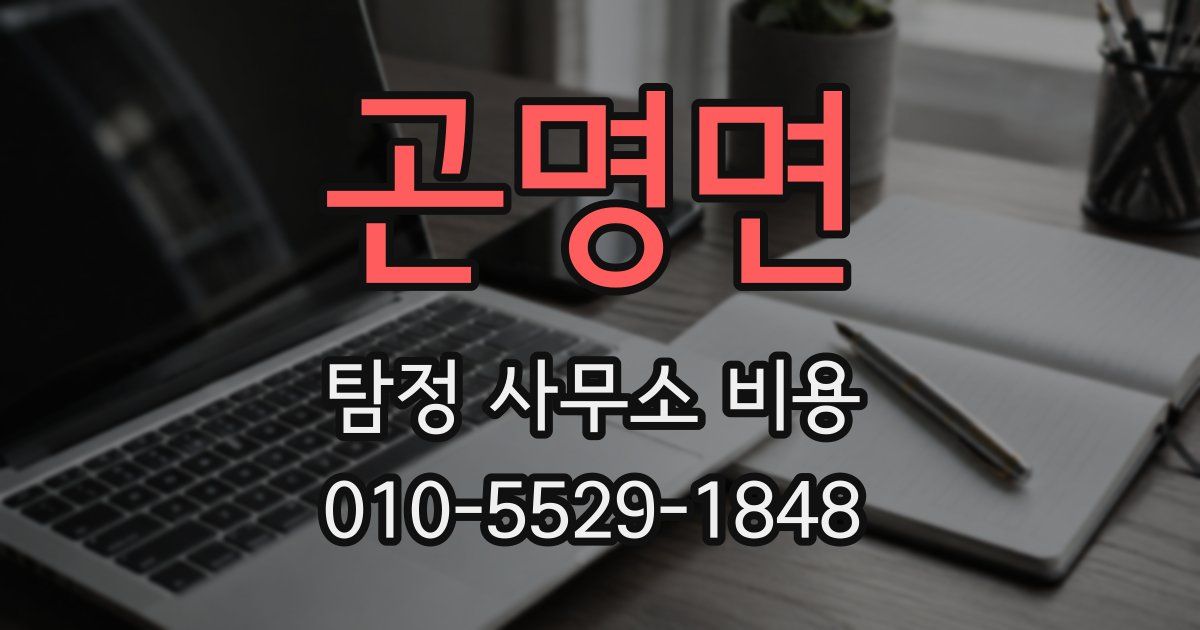 곤명면 탐정 사무소 비용
