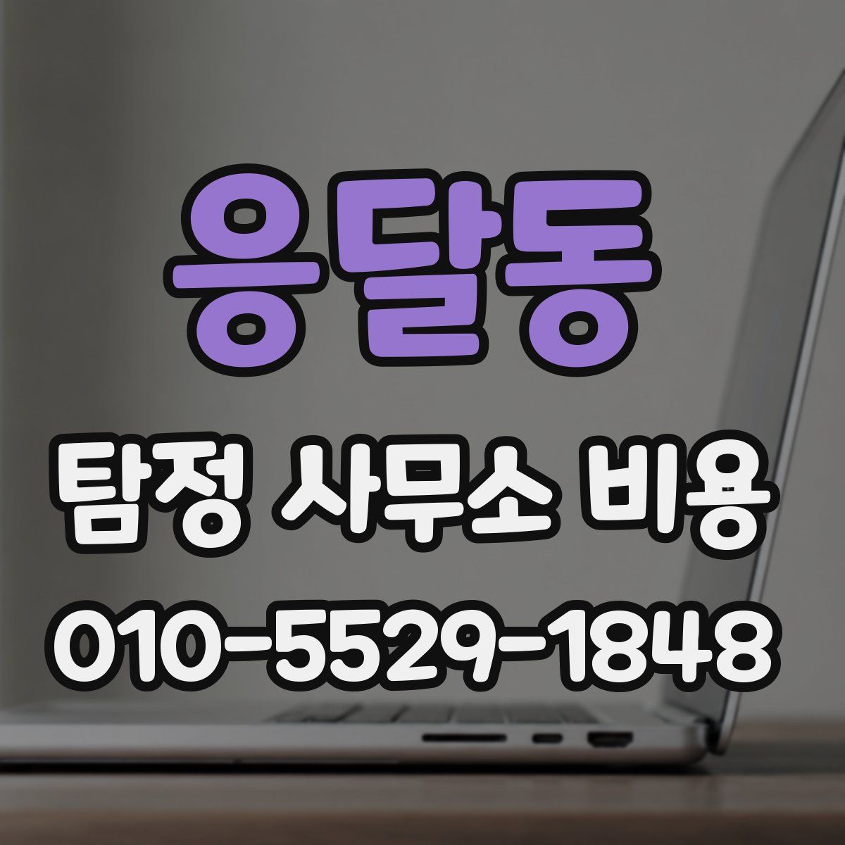 응달동 탐정 사무소 비용