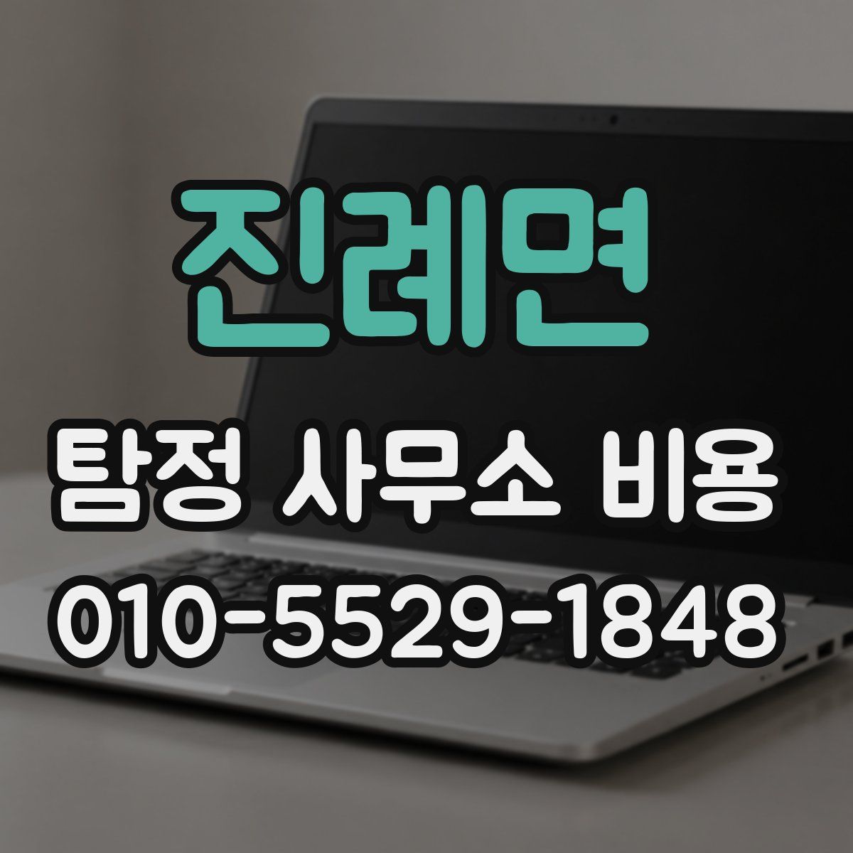 진례면 탐정 사무소 비용