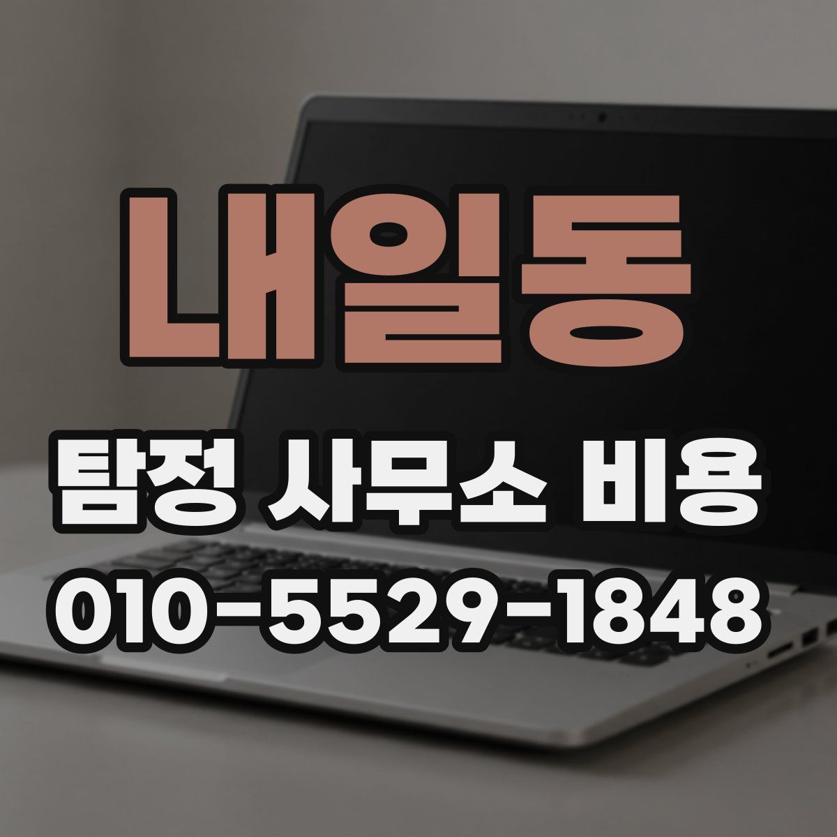 내일동 탐정 사무소 비용