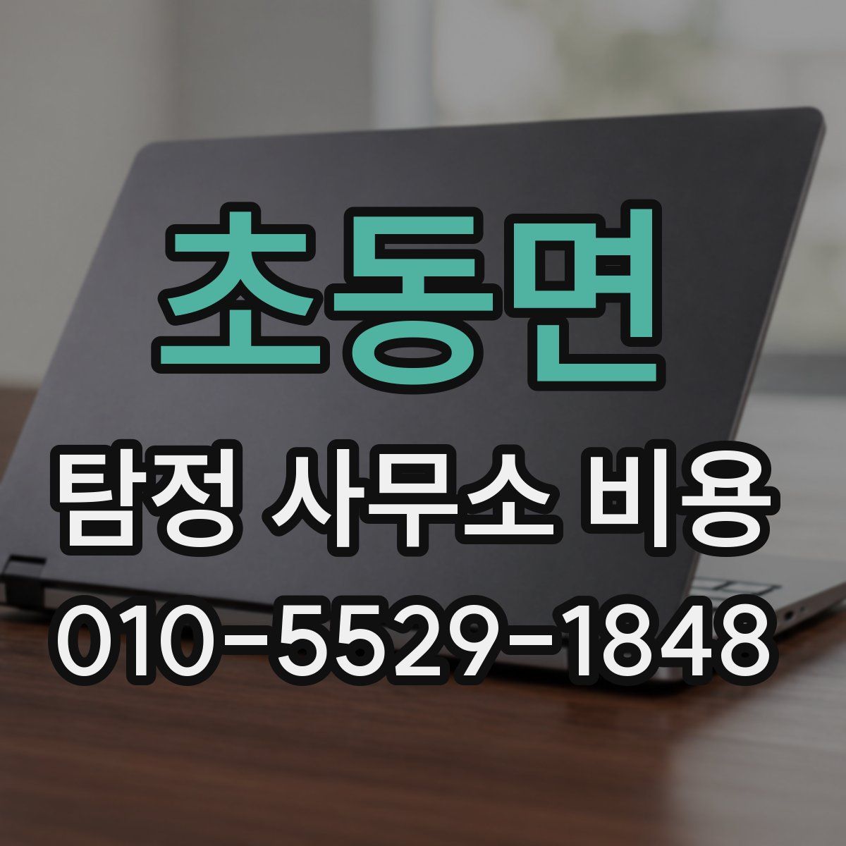 초동면 탐정 사무소 비용