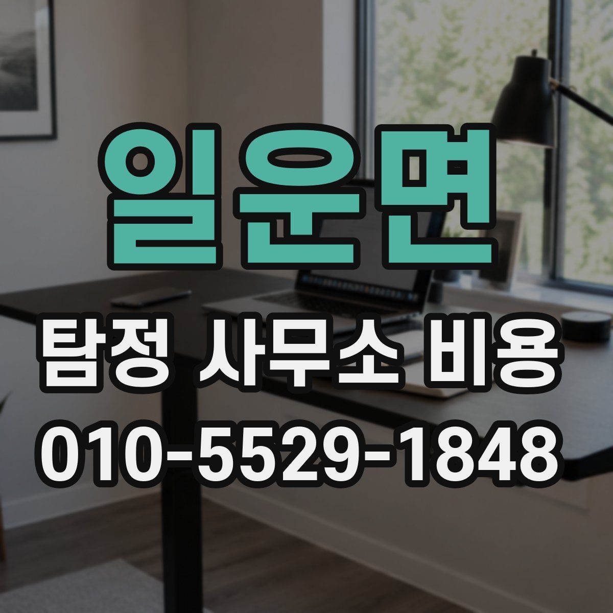 일운면 탐정 사무소 비용