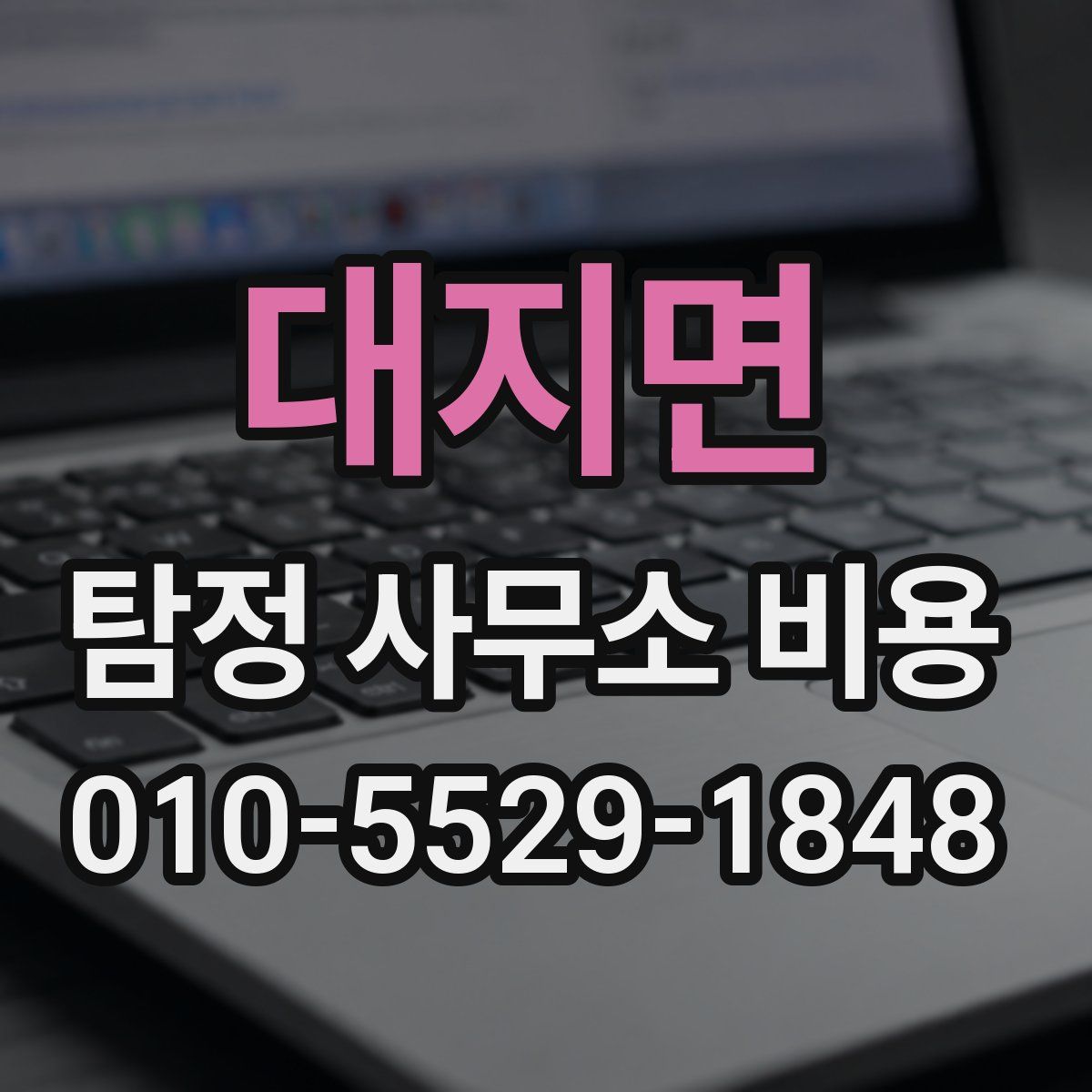 대지면 탐정 사무소 비용