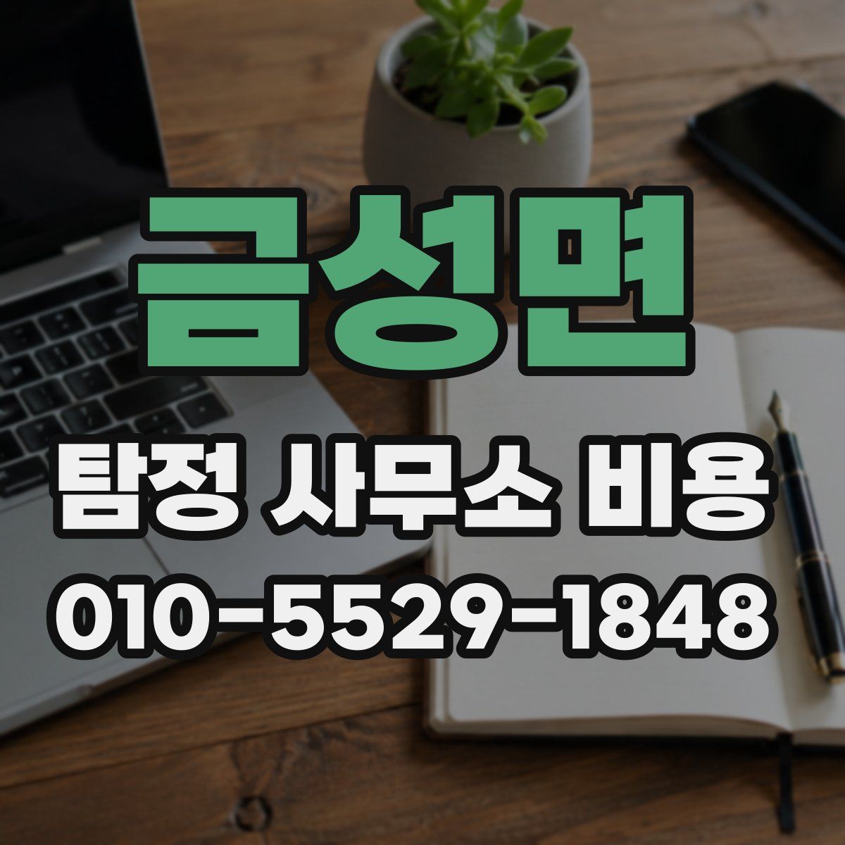금성면 탐정 사무소 비용