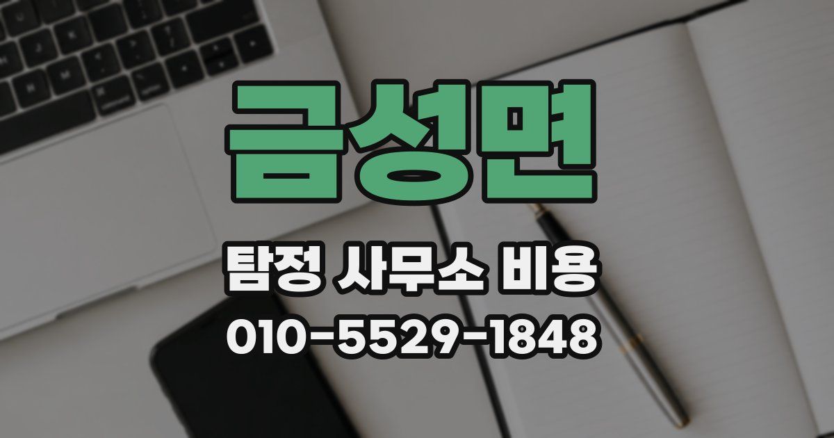 금성면 탐정 사무소 비용