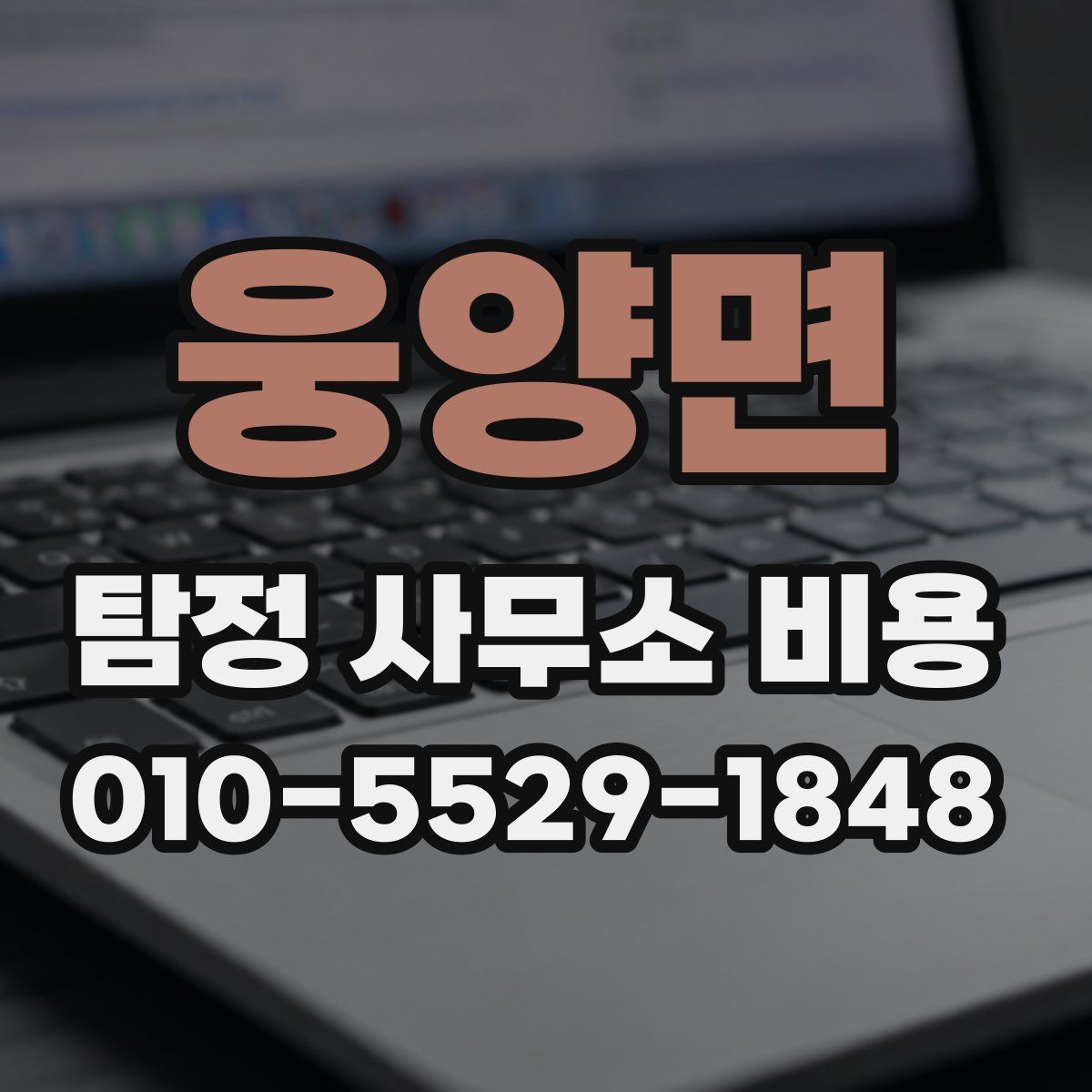 웅양면 탐정 사무소 비용