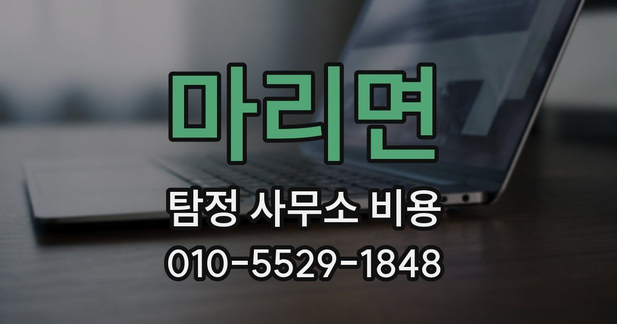 마리면 탐정 사무소 비용