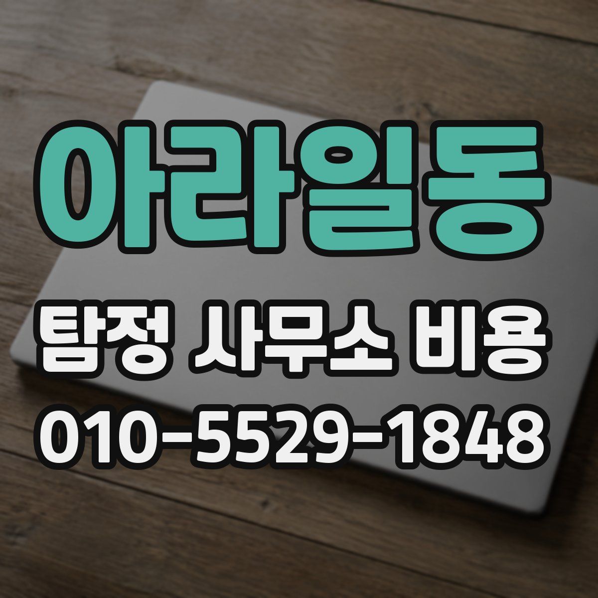 아라일동 탐정 사무소 비용