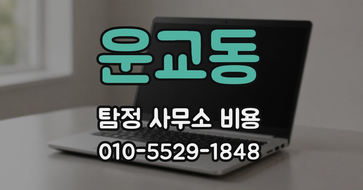 운교동 탐정 사무소 비용