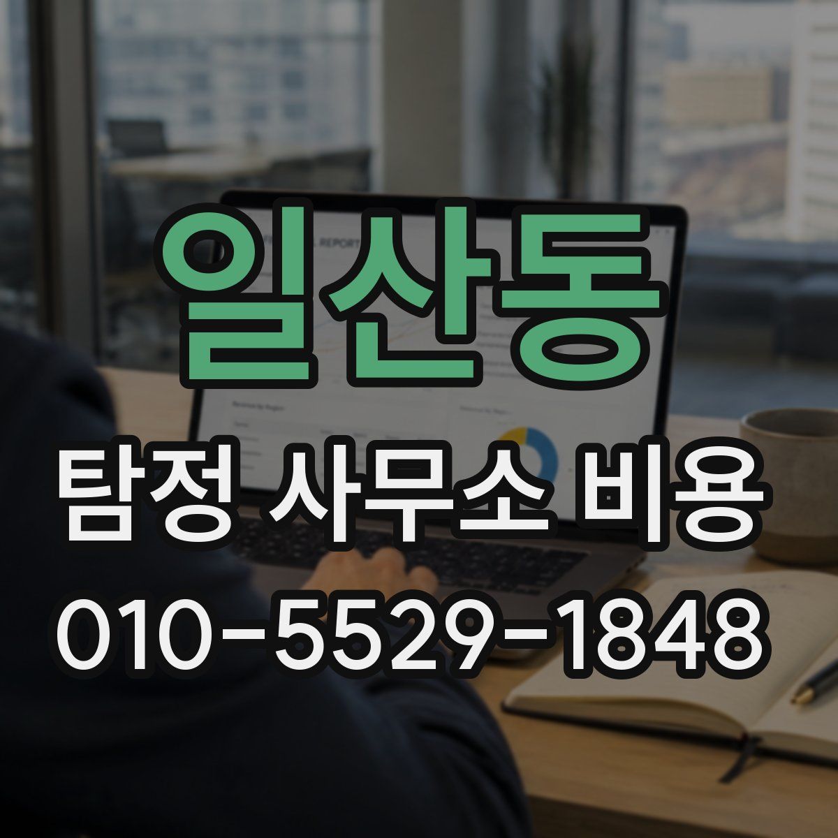 일산동 탐정 사무소 비용