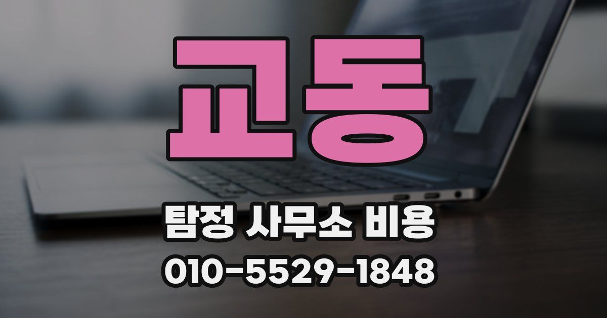 교동 탐정 사무소 비용