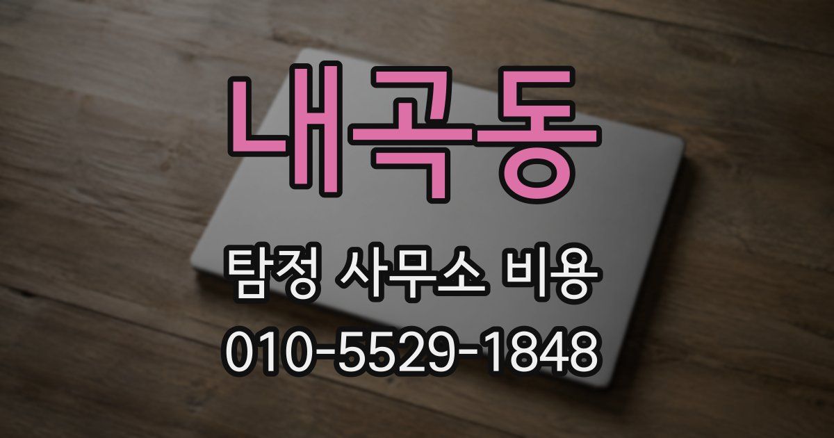 내곡동 탐정 사무소 비용