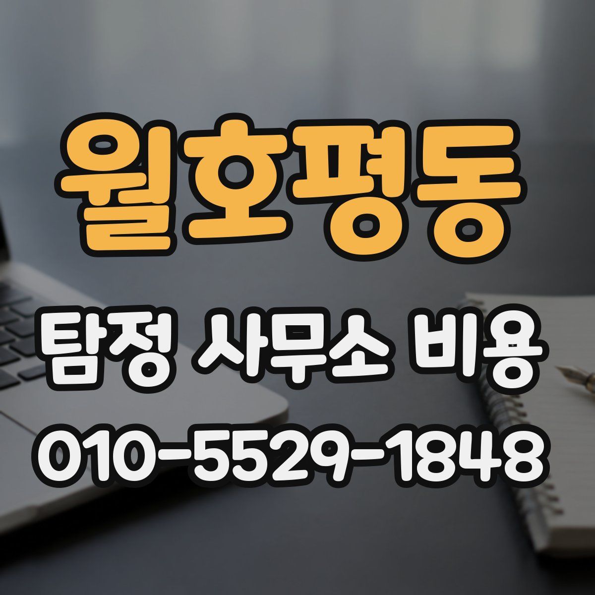 월호평동 탐정 사무소 비용
