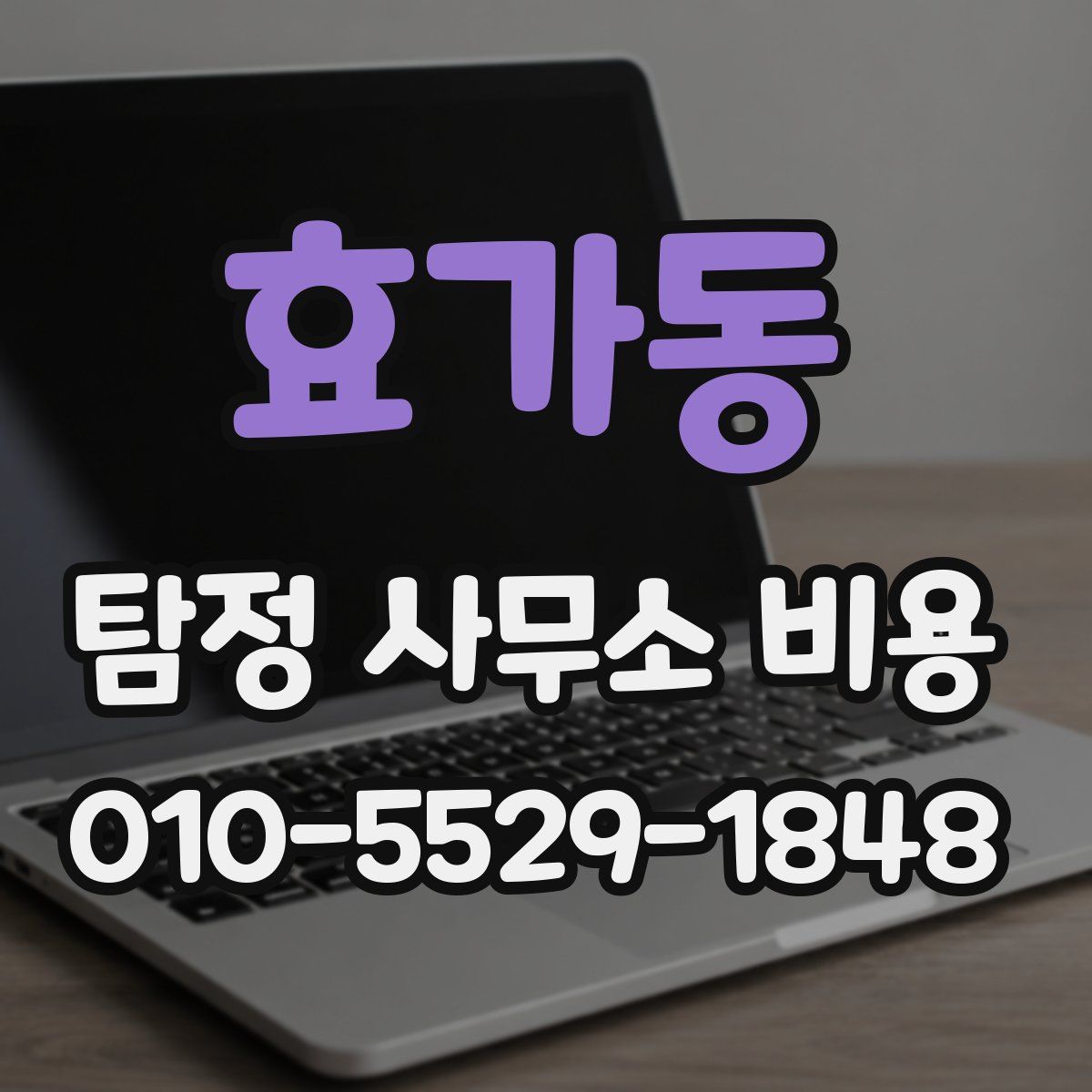 효가동 탐정 사무소 비용