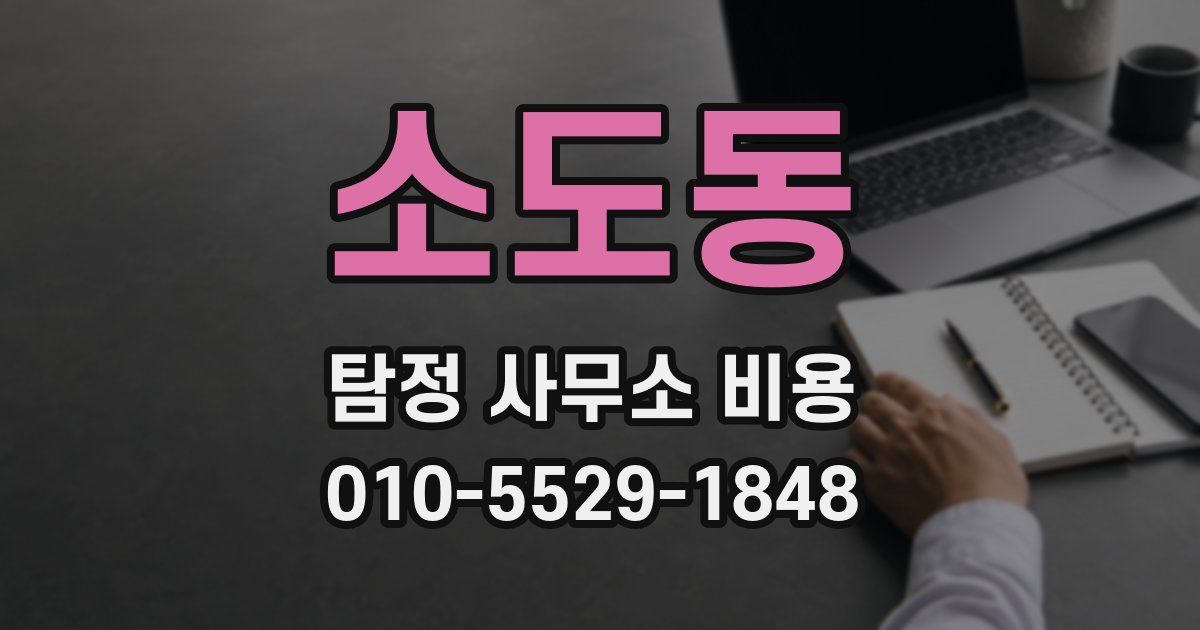 소도동 탐정 사무소 비용