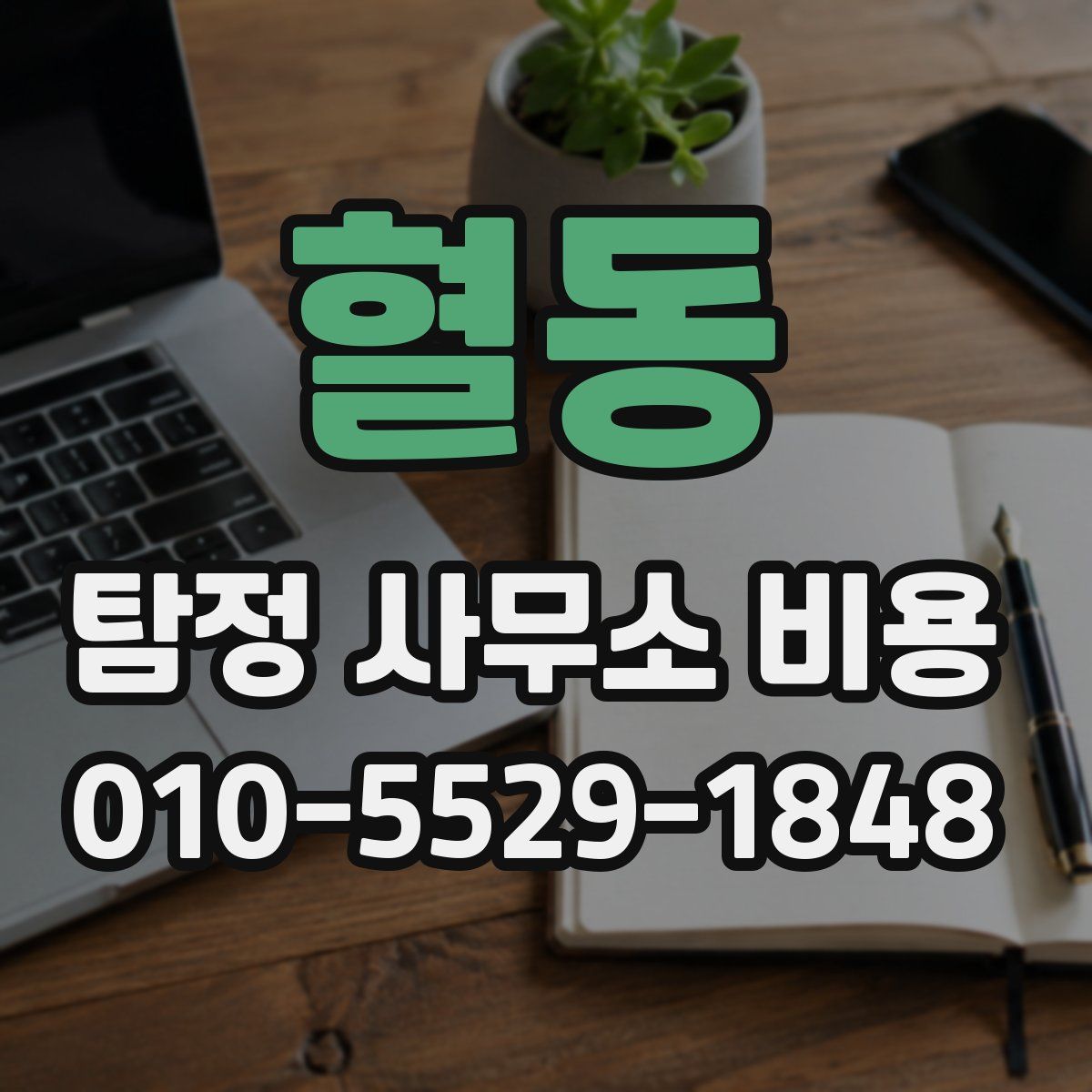 혈동 탐정 사무소 비용
