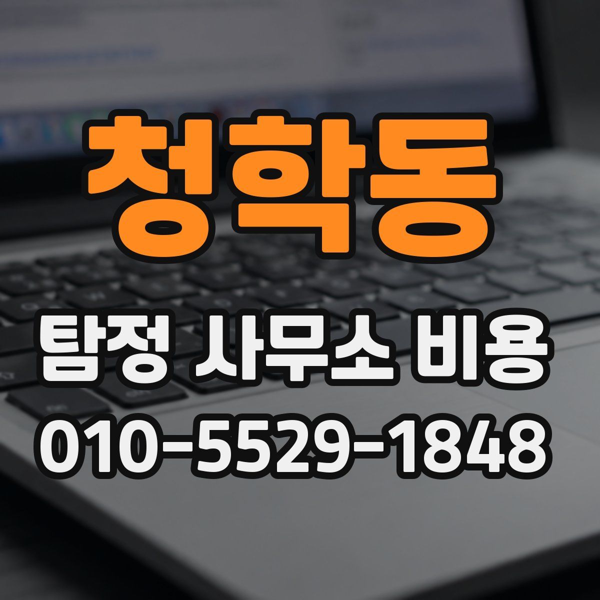청학동 탐정 사무소 비용