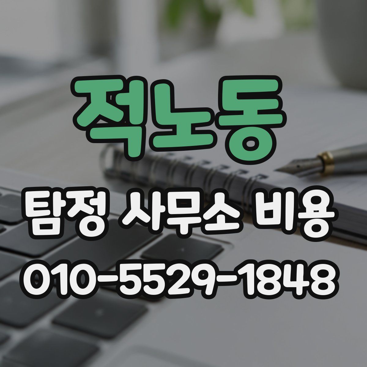 적노동 탐정 사무소 비용