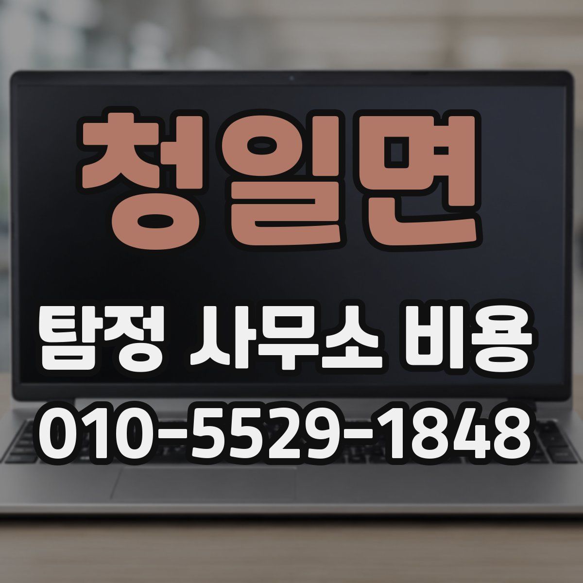 청일면 탐정 사무소 비용