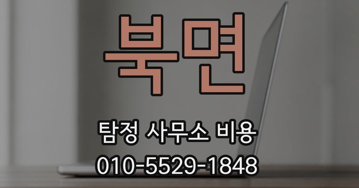 북면 탐정 사무소 비용