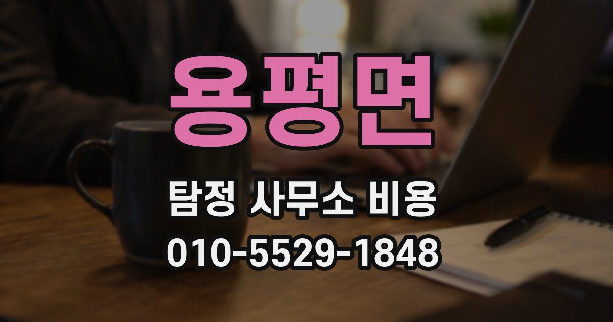 용평면 탐정 사무소 비용