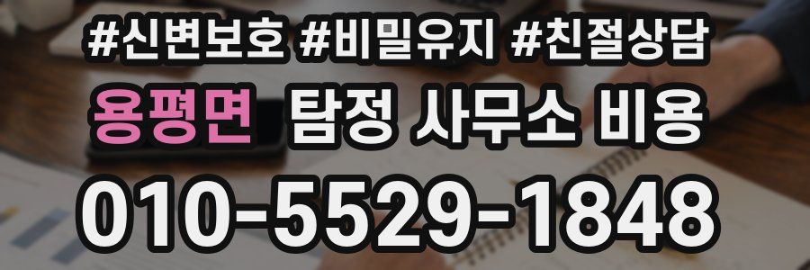 용평면 탐정 사무소 비용