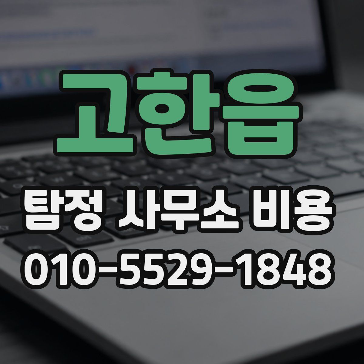 고한읍 탐정 사무소 비용