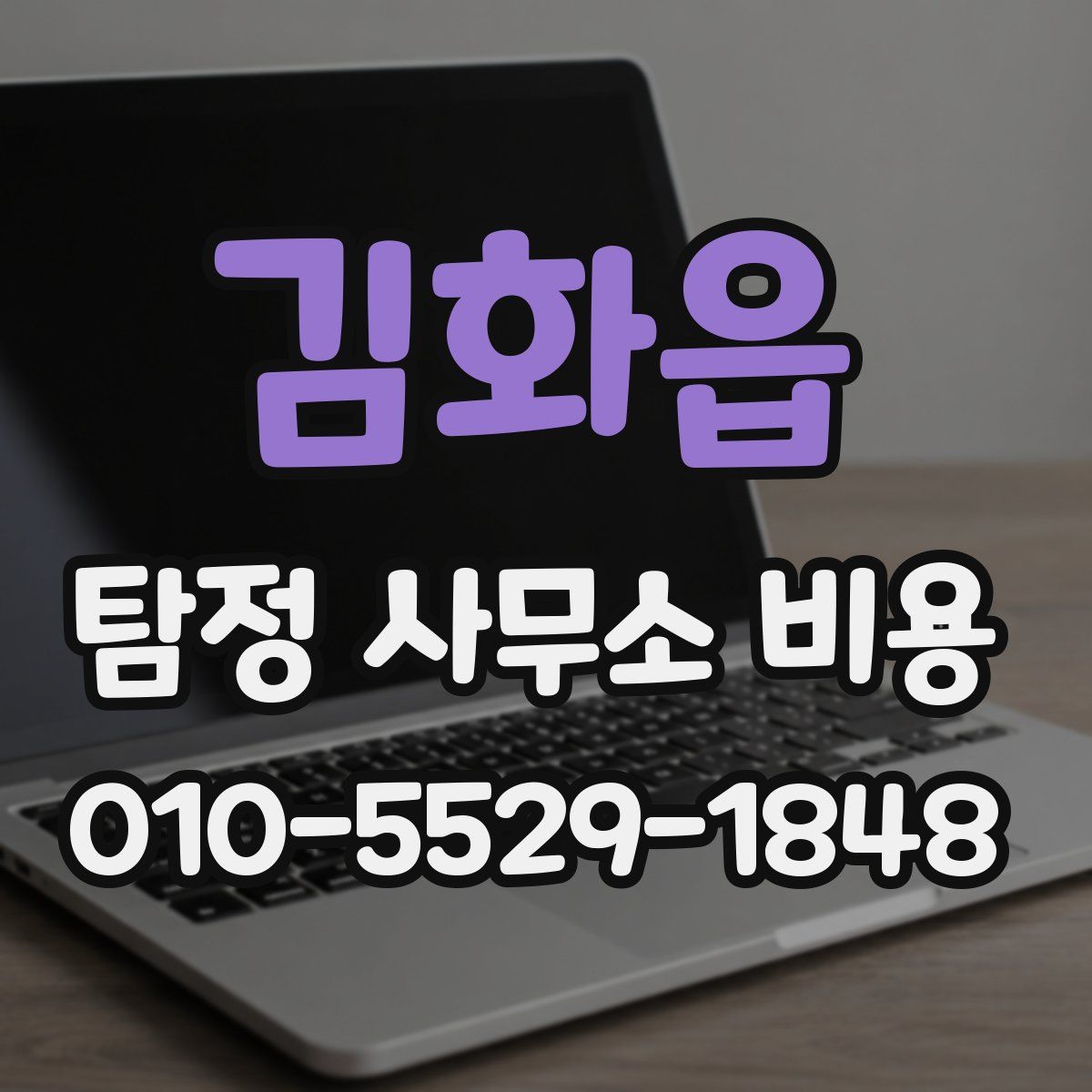 김화읍 탐정 사무소 비용