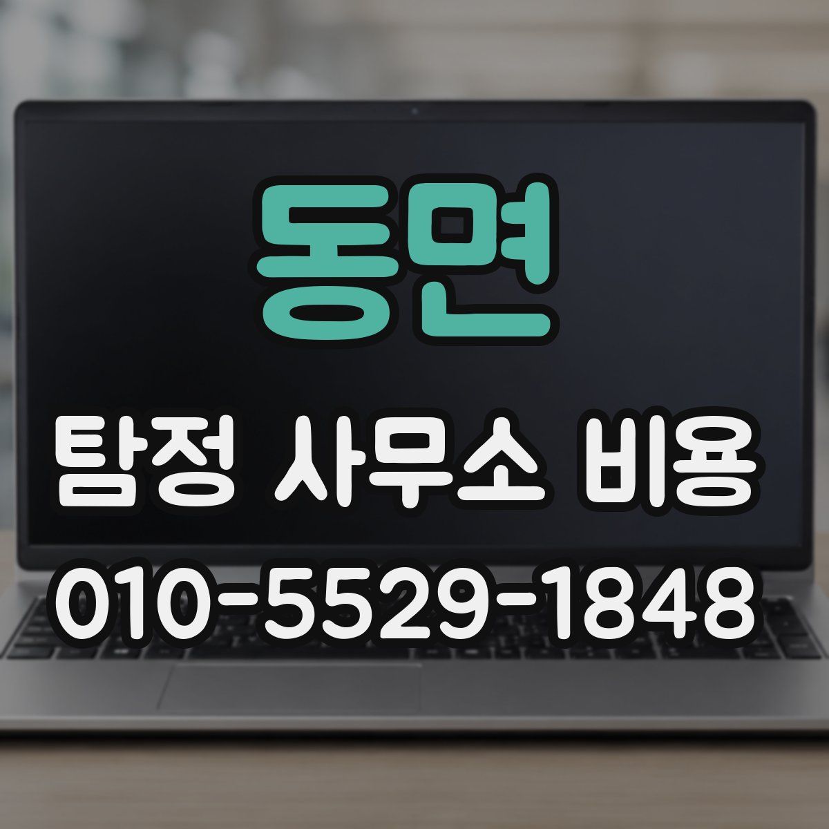 동면 탐정 사무소 비용