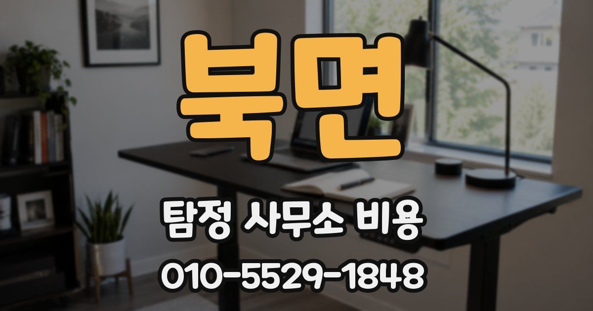 북면 탐정 사무소 비용