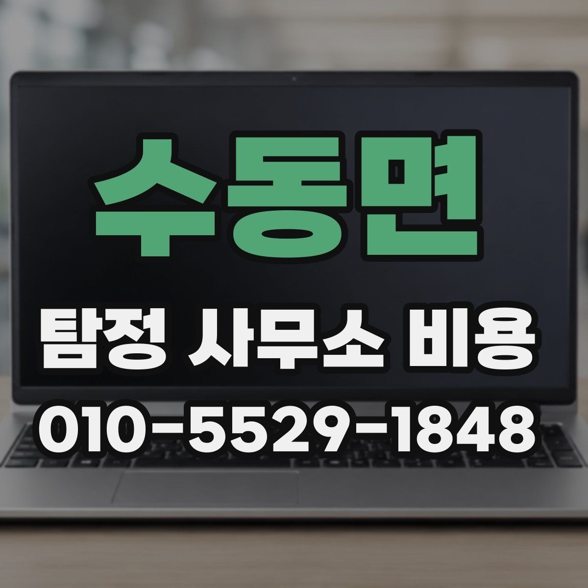 수동면 탐정 사무소 비용