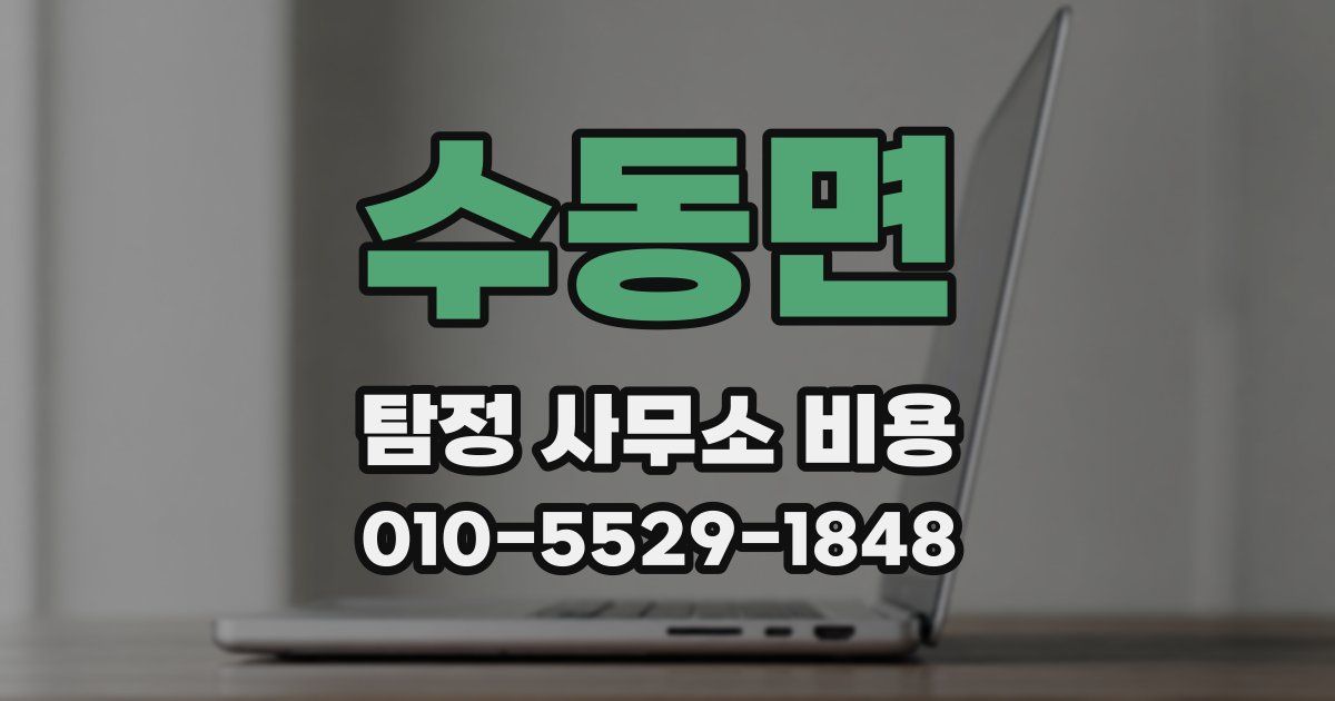 수동면 탐정 사무소 비용