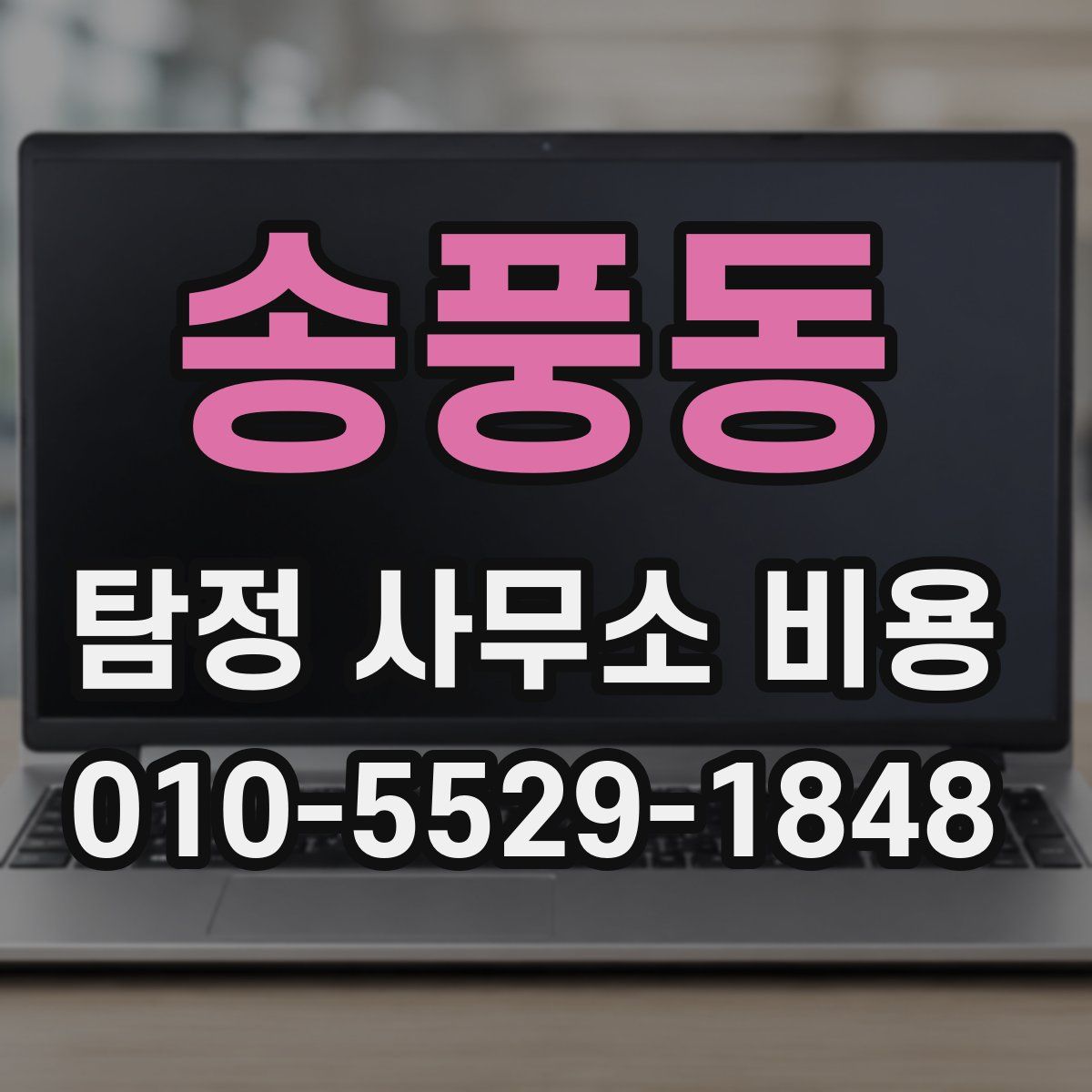 송풍동 탐정 사무소 비용