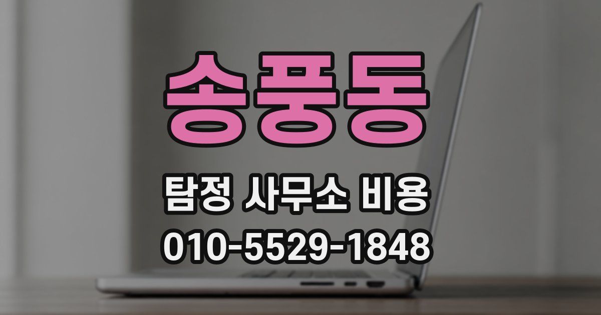 송풍동 탐정 사무소 비용