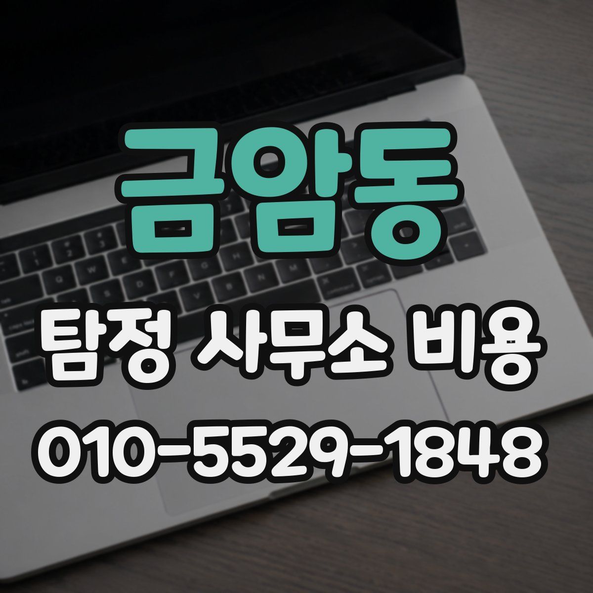 금암동 탐정 사무소 비용