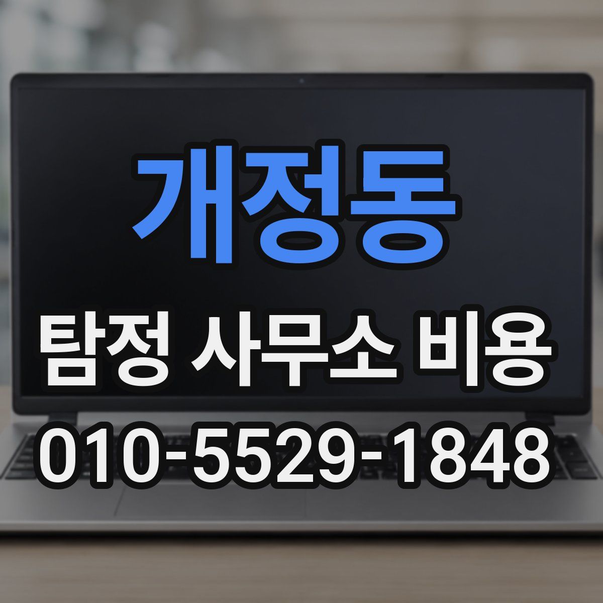 개정동 탐정 사무소 비용