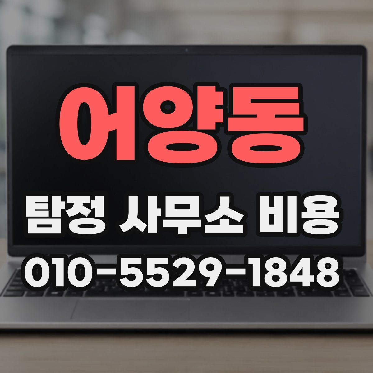 어양동 탐정 사무소 비용