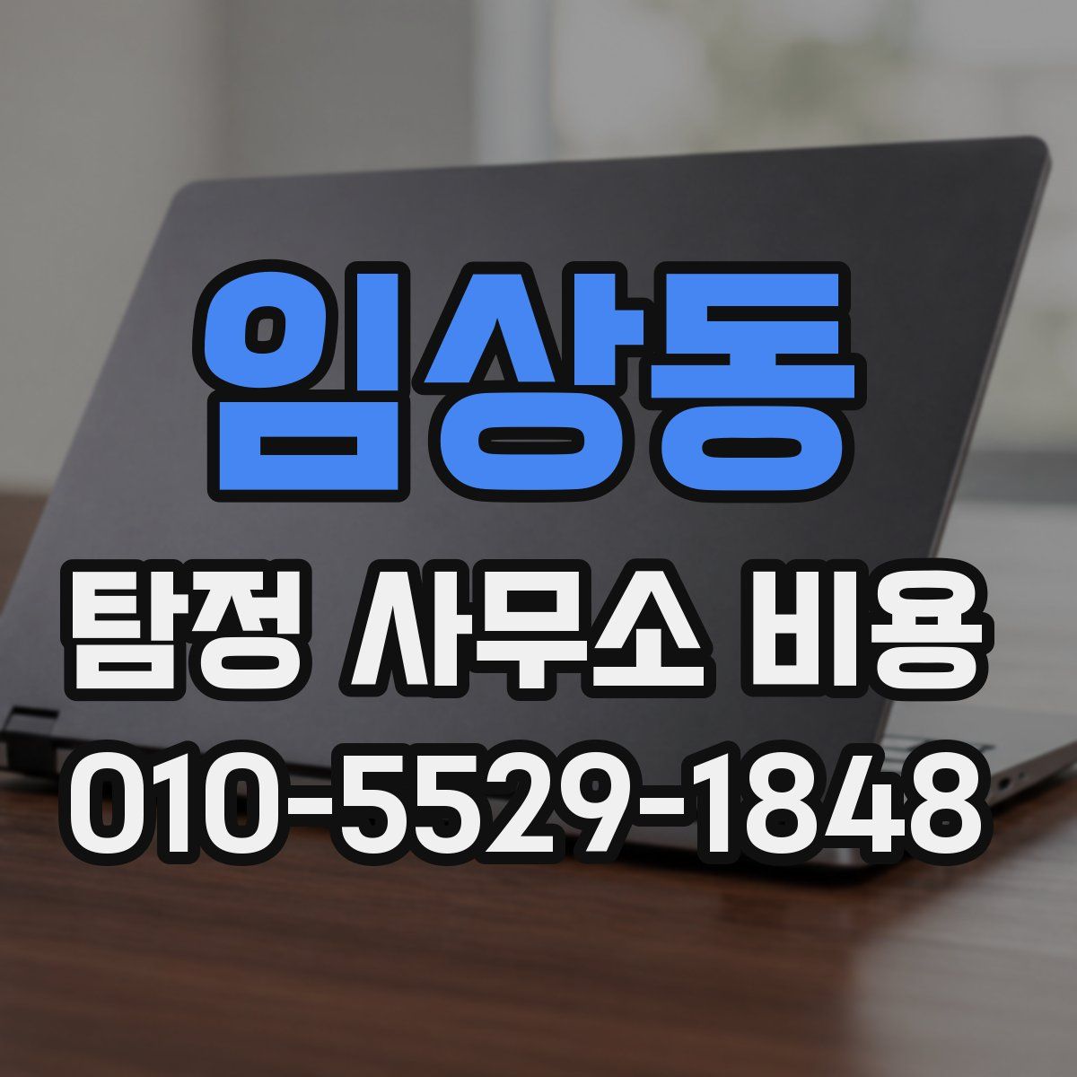 임상동 탐정 사무소 비용
