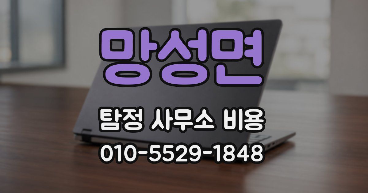 망성면 탐정 사무소 비용