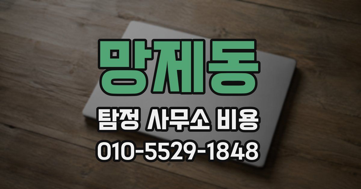 망제동 탐정 사무소 비용