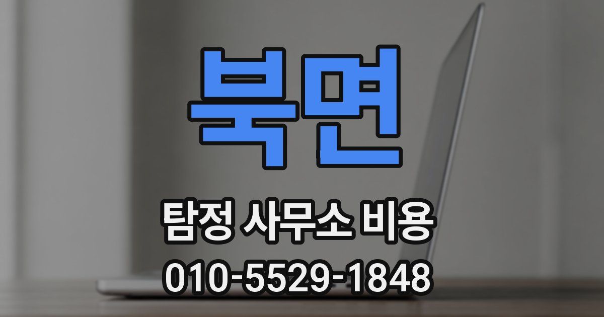 북면 탐정 사무소 비용