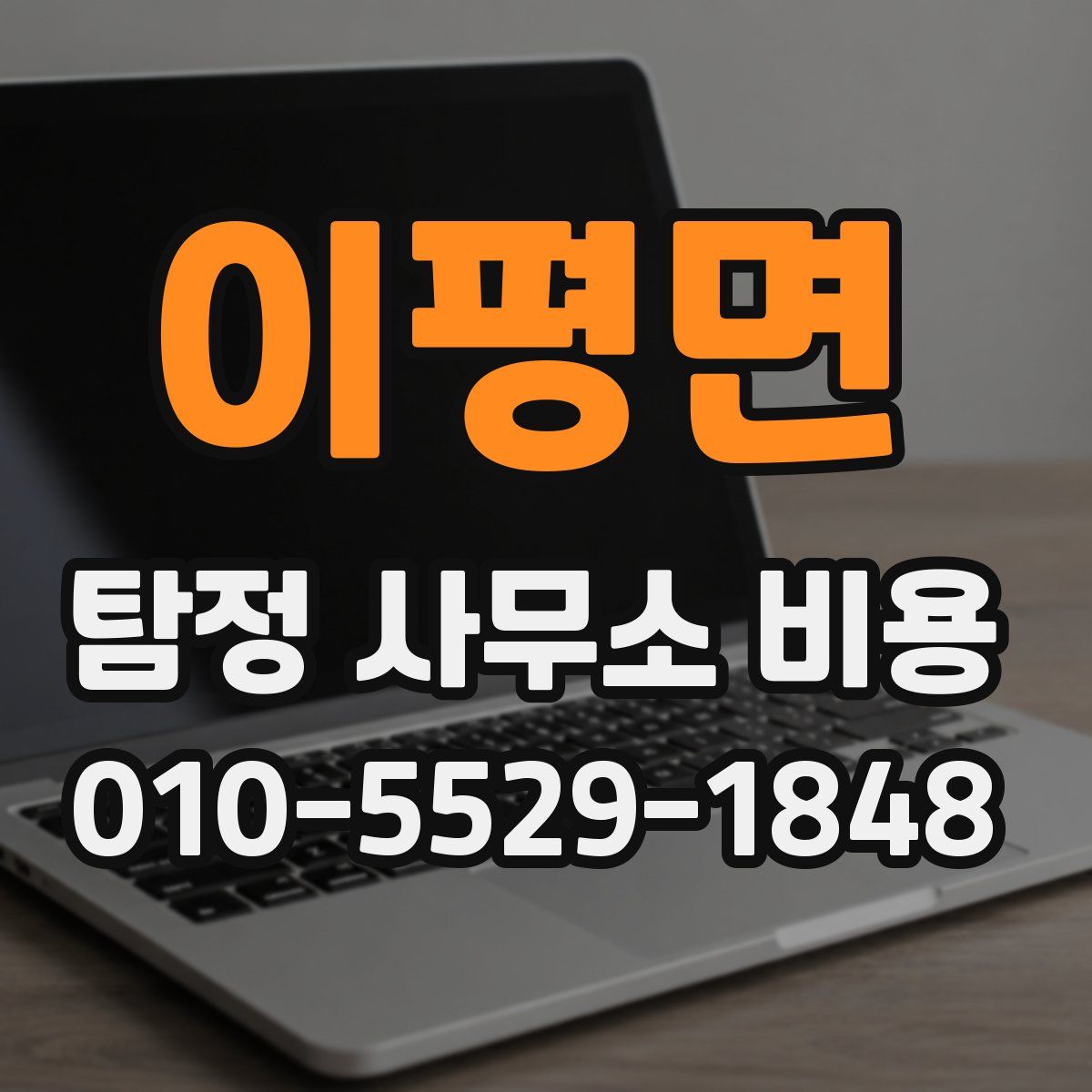 이평면 탐정 사무소 비용