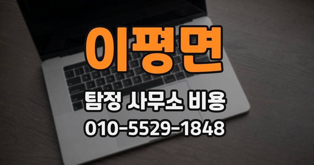 이평면 탐정 사무소 비용
