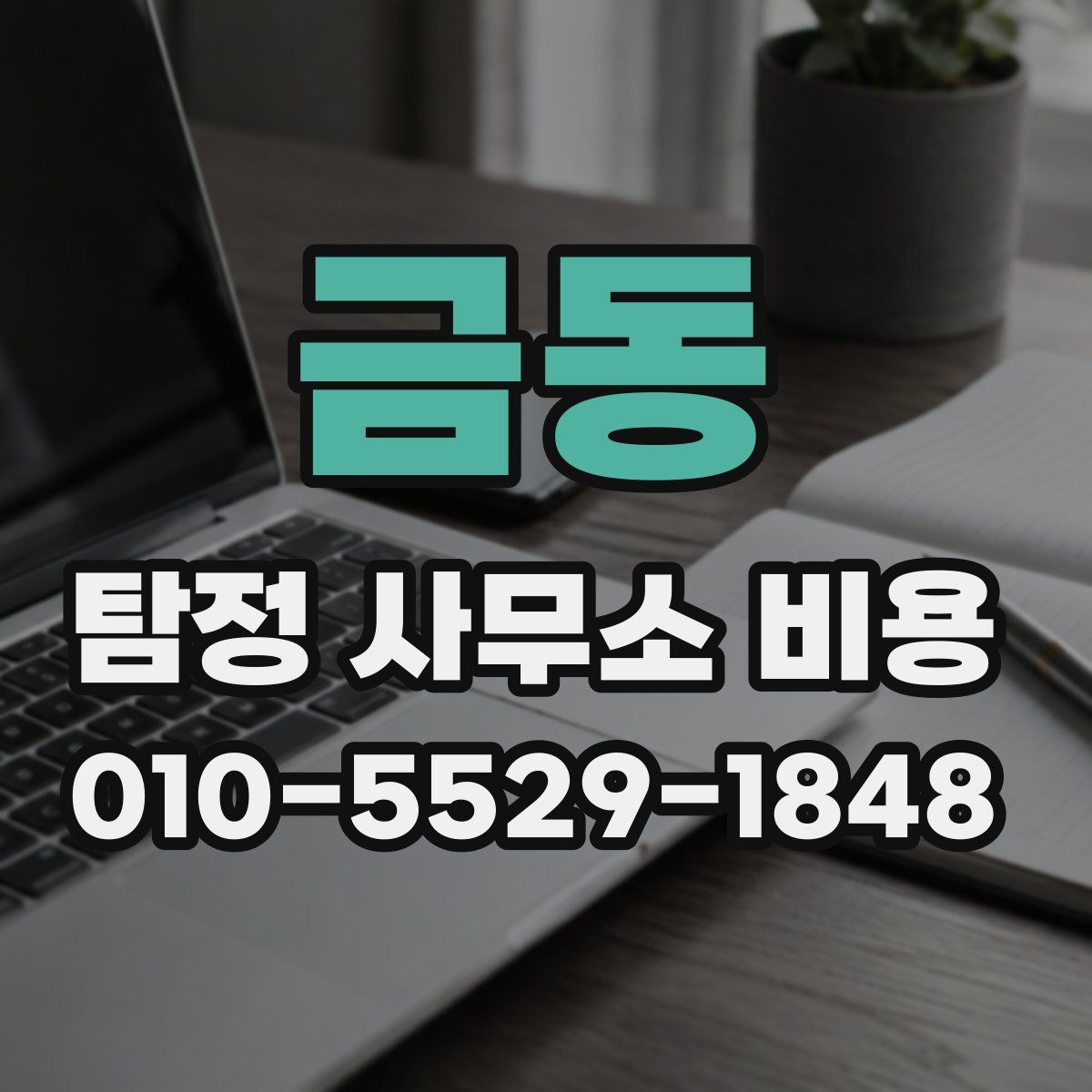 금동 탐정 사무소 비용