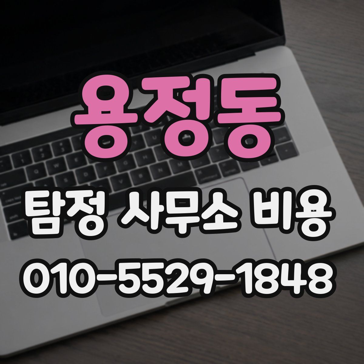 용정동 탐정 사무소 비용